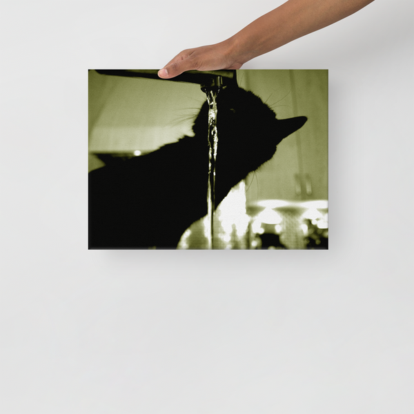 'EYE IN THE DARK' Signed Canvas Print (9155522298172)