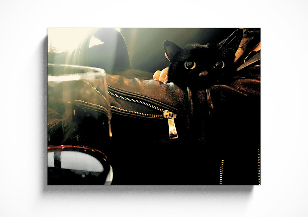 JFK to LA (Limited Edition Metal Print) (6642277777479)